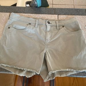 Carve Designs Oahu Short size 8